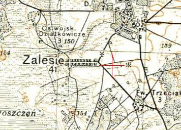 Polish WIG map of Zalesie